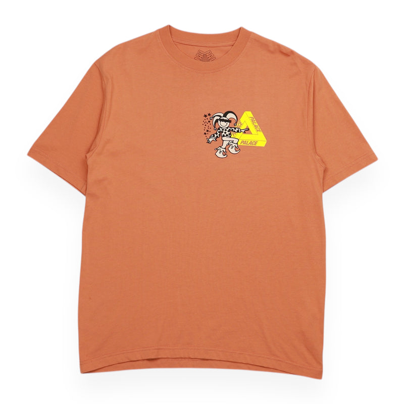 Palace A/W 23 Derek Garage T-Shirt in Brown, front